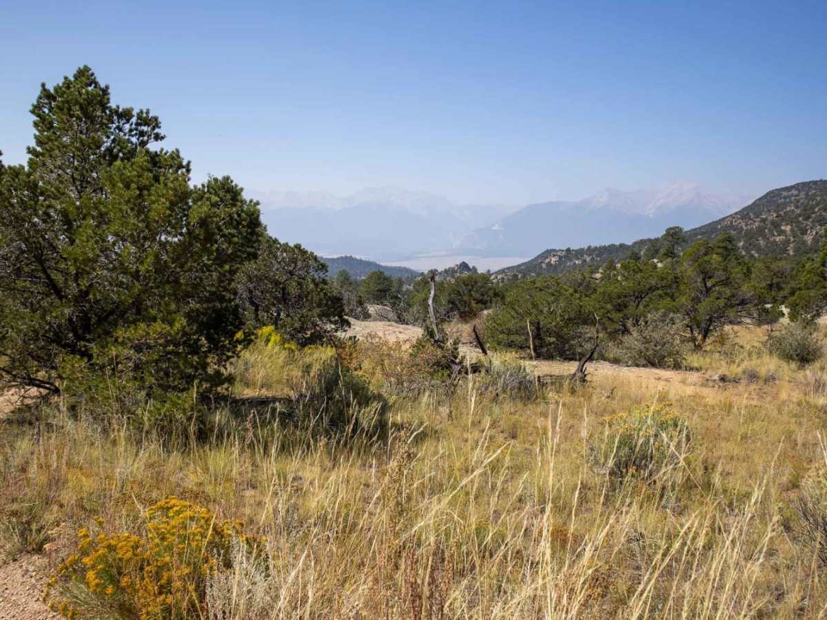Triad Ridge West (ATV) trail photo
