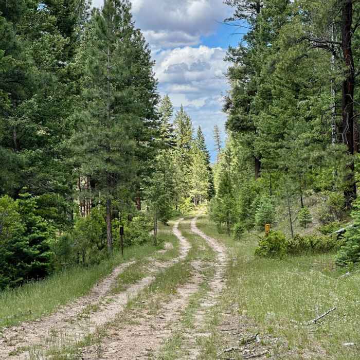 Near Continental Divide Trail: New Mexico Section 26