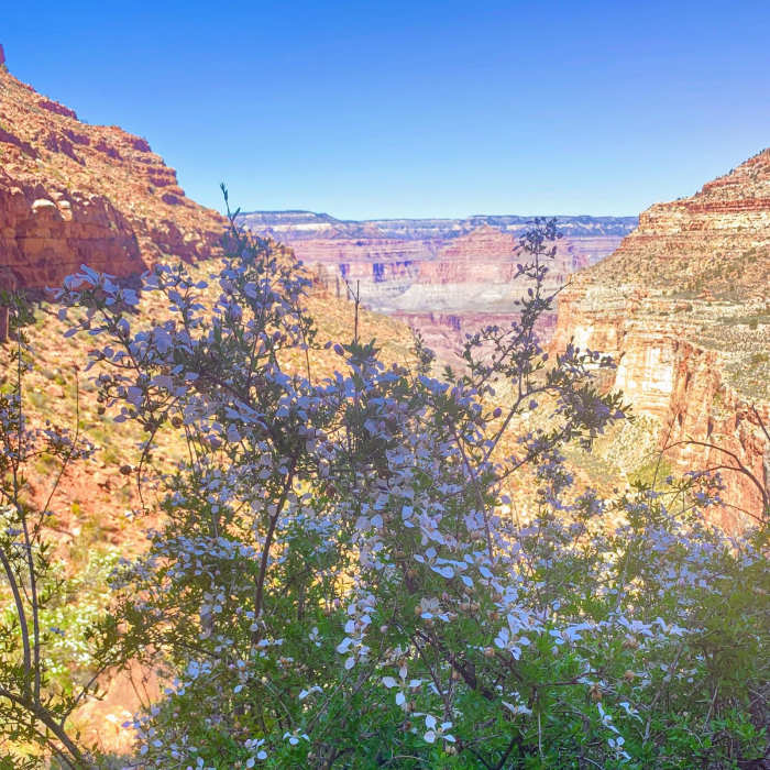 Near South Bass Trail