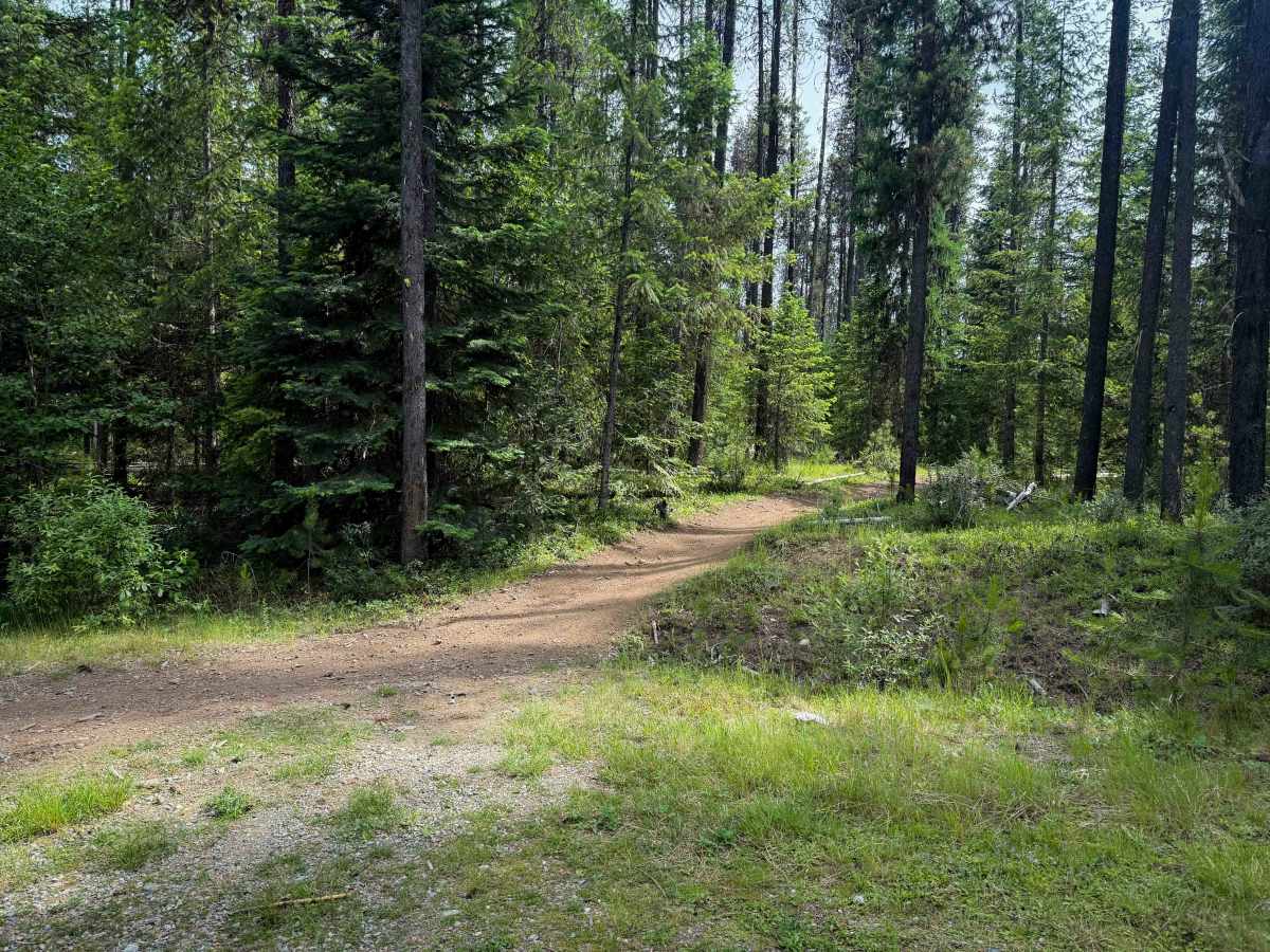Sherry Spur Ditch Trail trail photo
