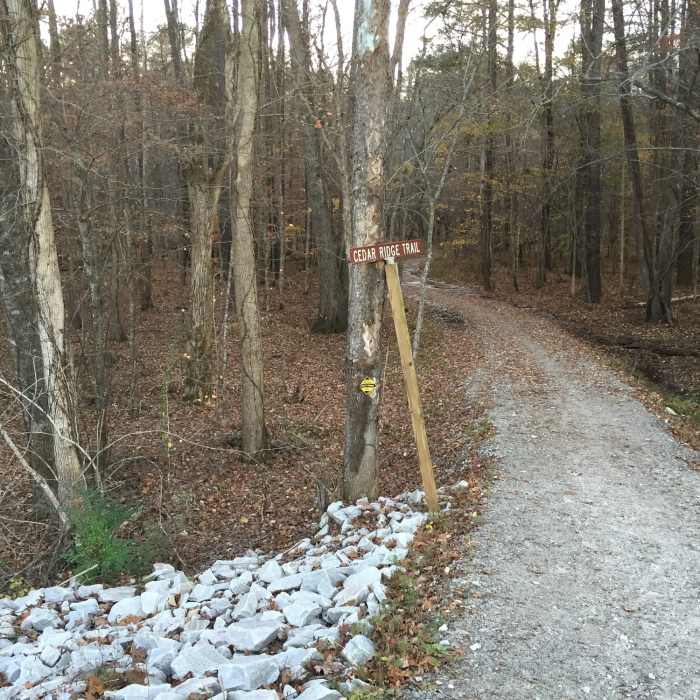 Near North Turkey Creek Multiuse Trail
