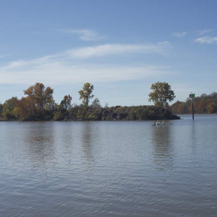 Near River Trail