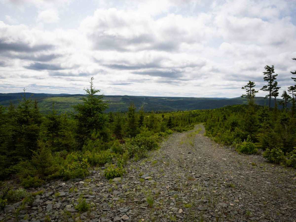 Fogans Lake Overlook Trail photo 3