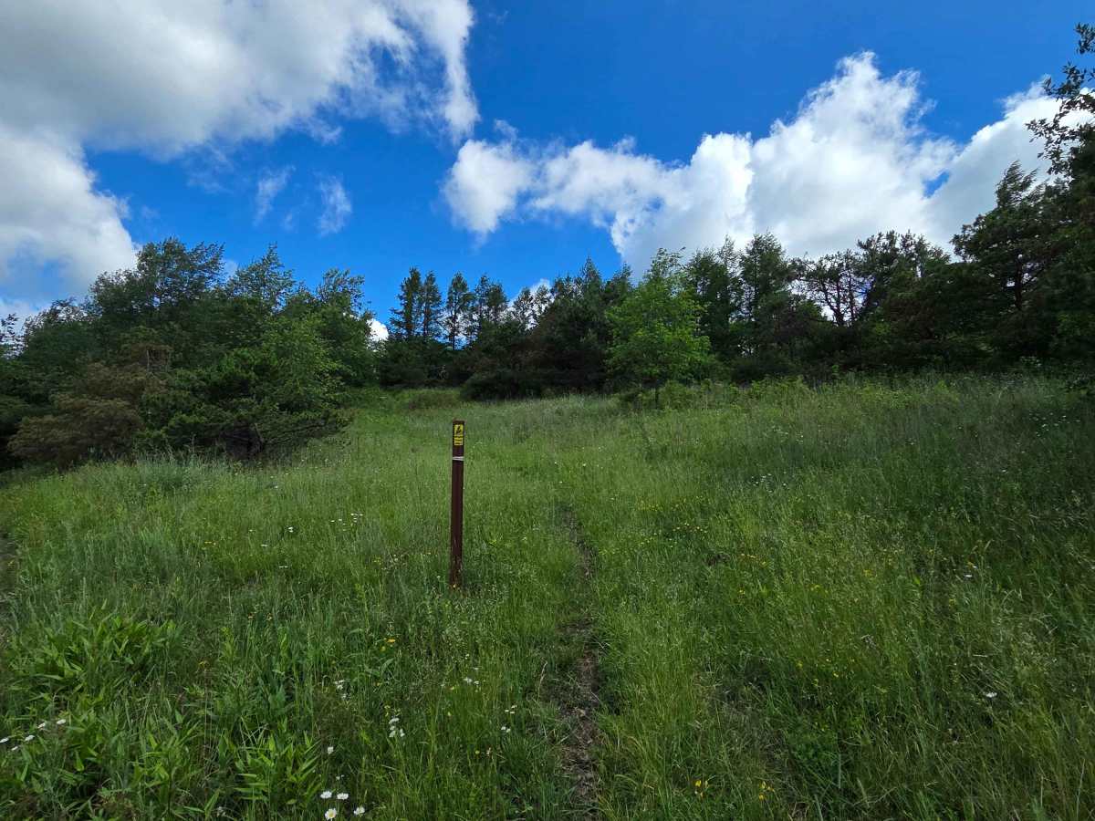 Single Track J photo 2