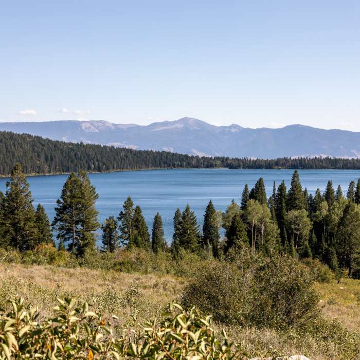 Phelps Lake Near Death Canyon Trail