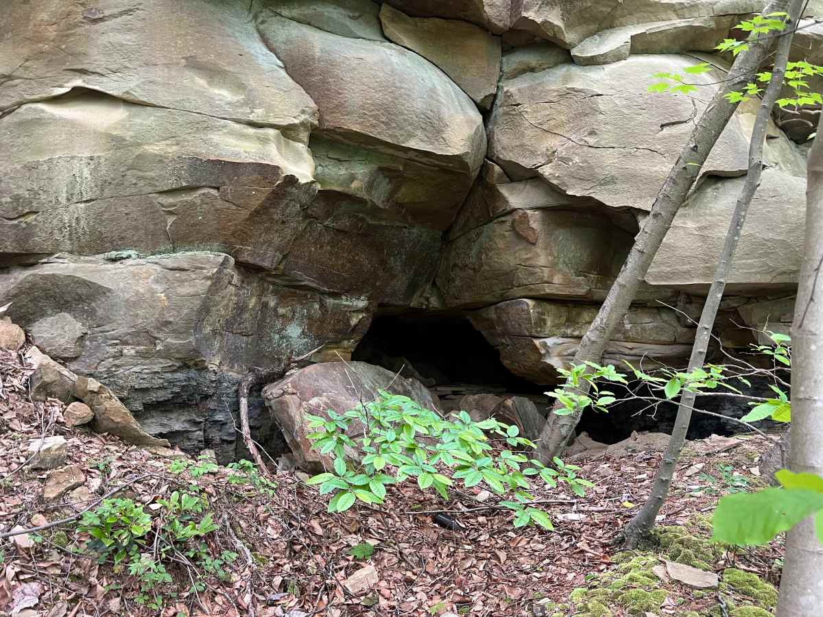 Q58 - Wildcat Hole trail photo