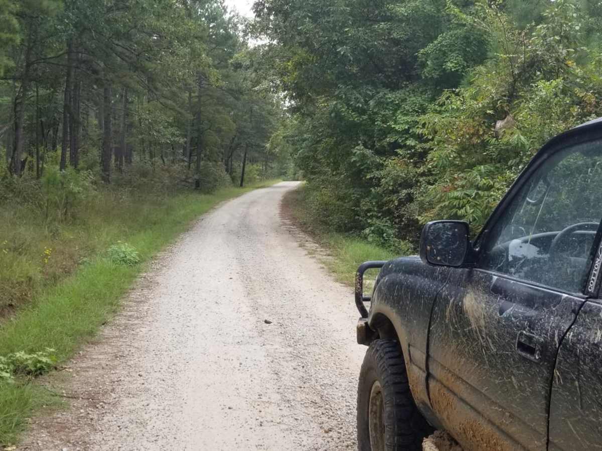 Enoree River Southside Trail System photo 2
