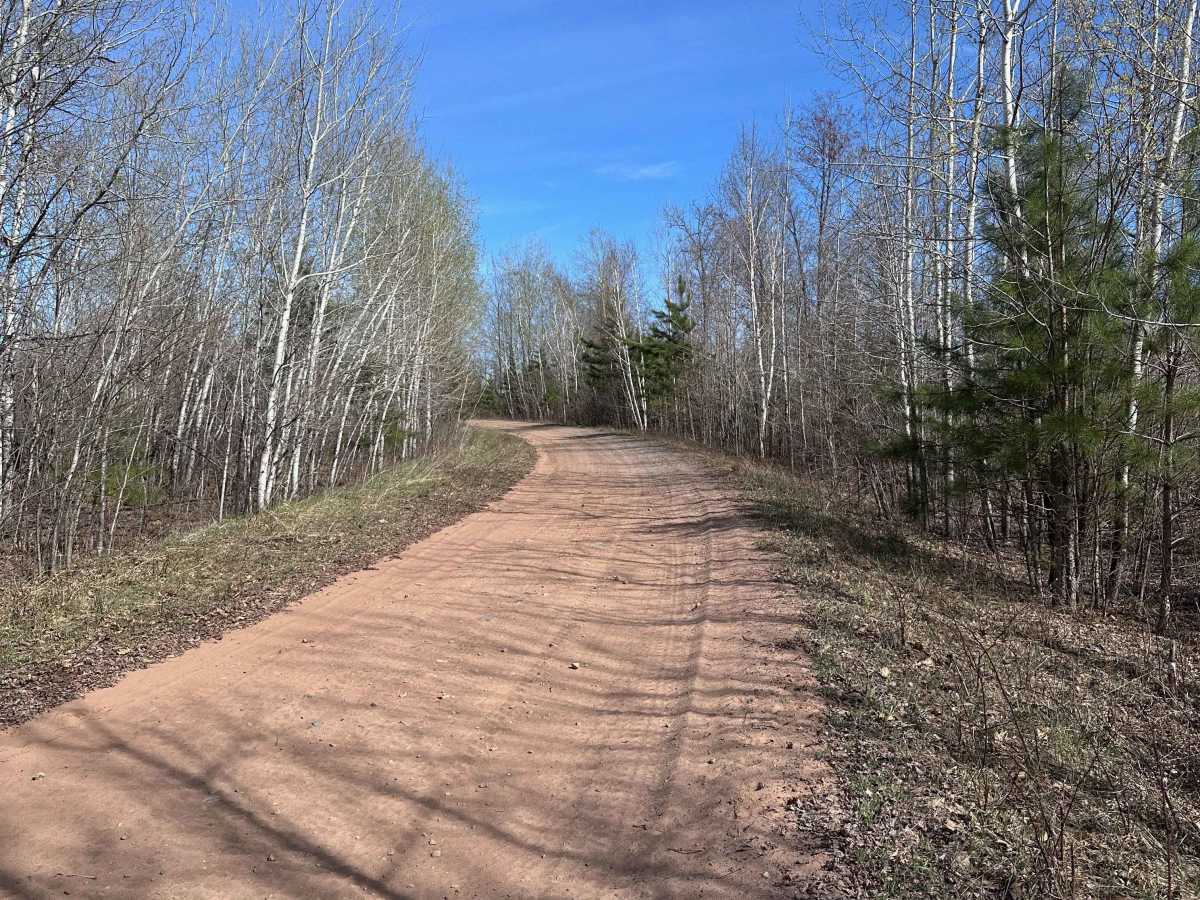 East Arm Forest Road photo 2