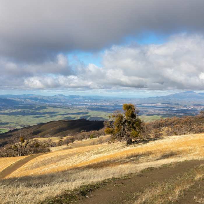 Near Springboard Trail