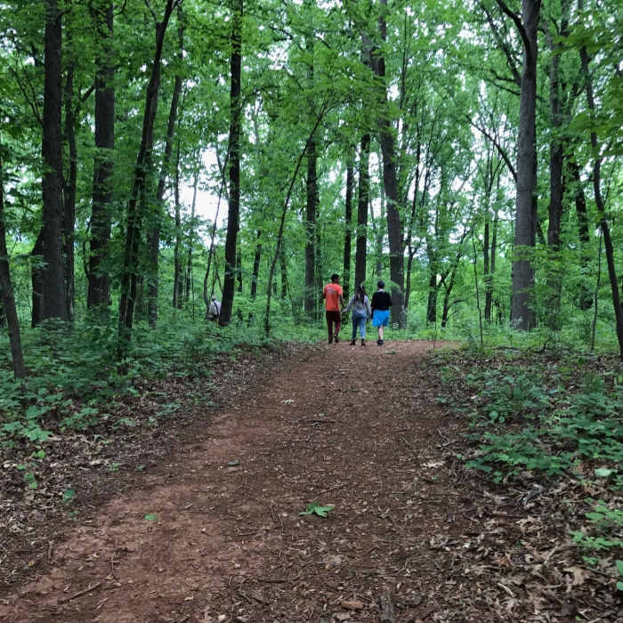 Near Jason Stevens Loop