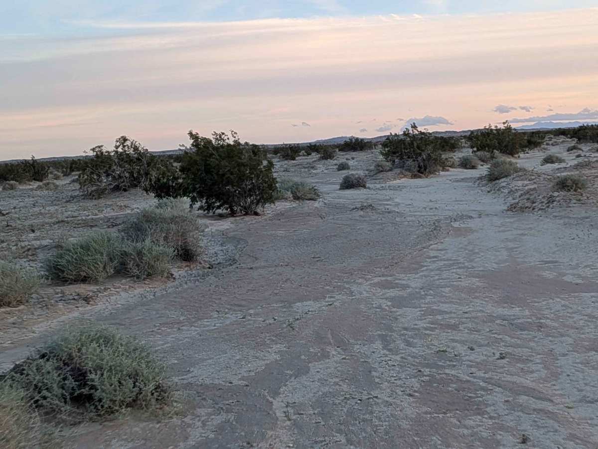 BLM 325 photo 2