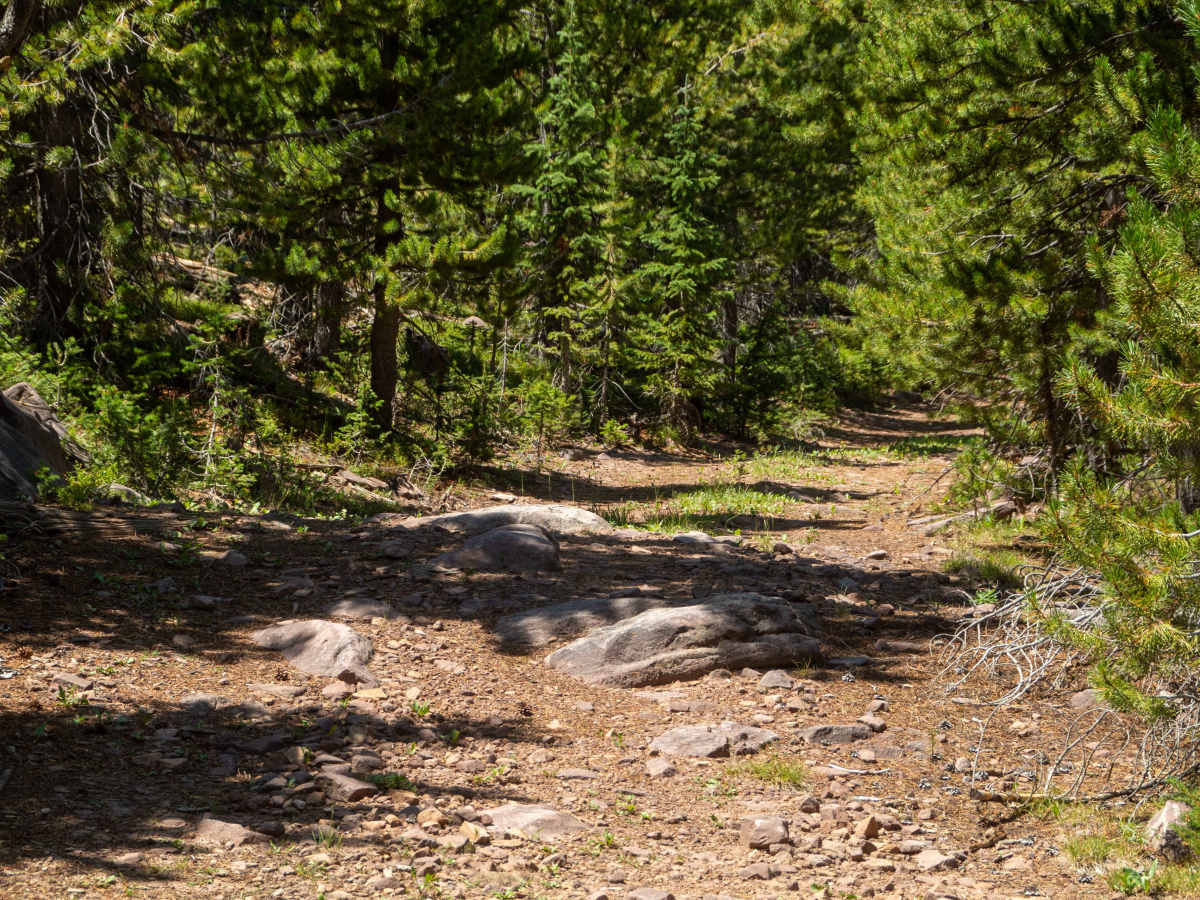 Center Creek - FS 10037 photo 2