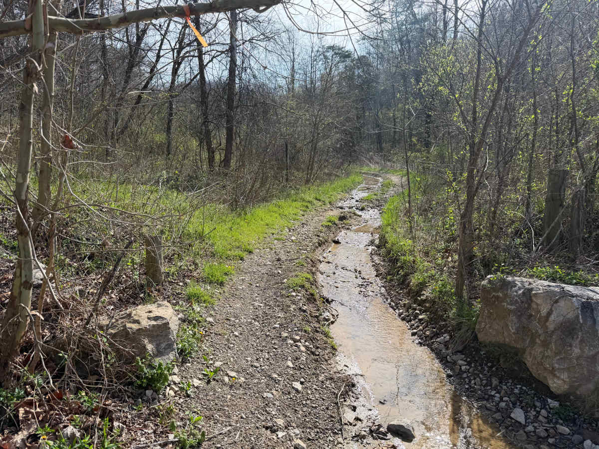 Telegraph Trail trail photo