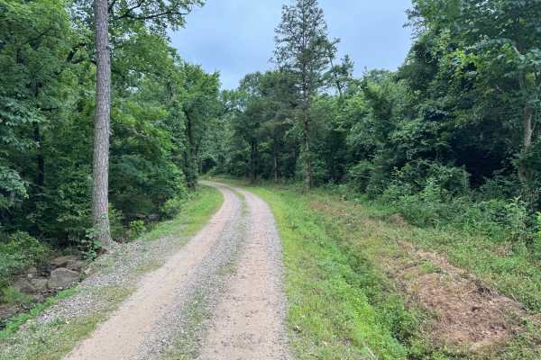 County Road 3161