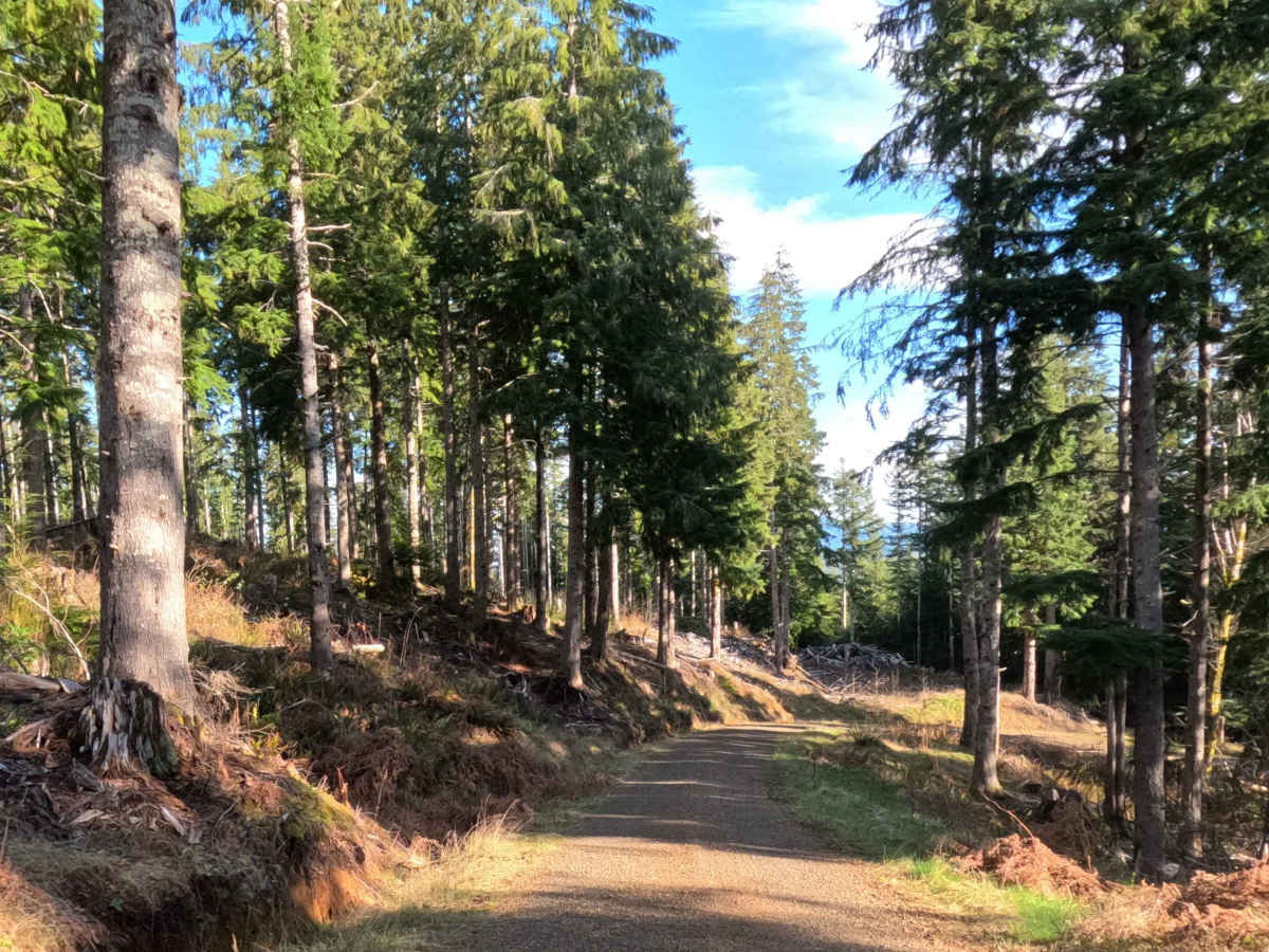 Farmer Creek  photo 6