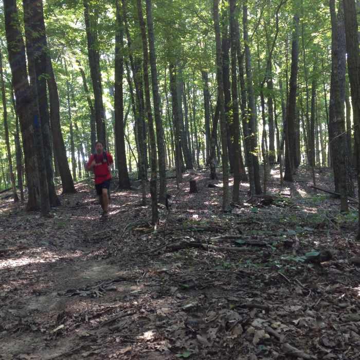 Near McCoy Hollow Trail