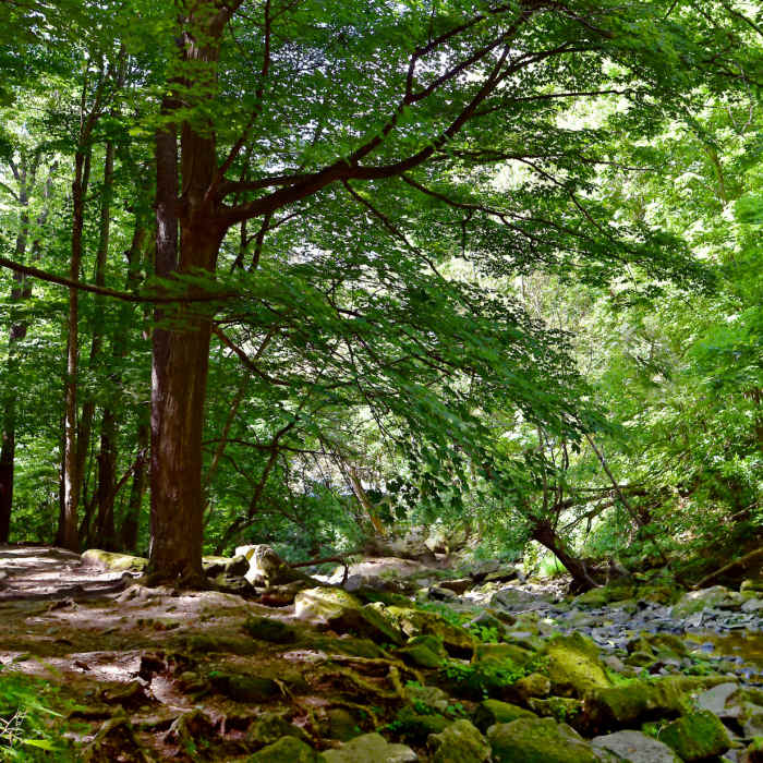 Near Akron Falls Park