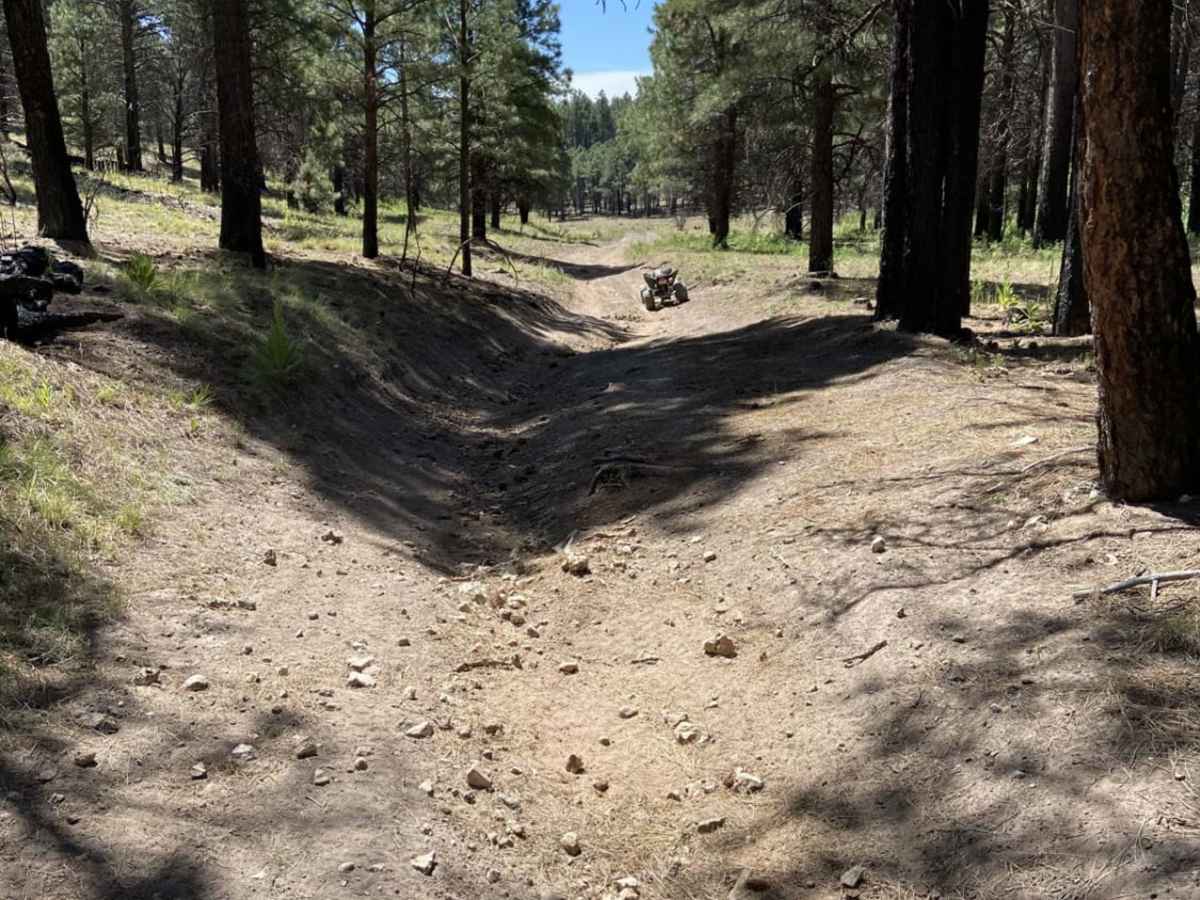 Alder Canyon trail photo