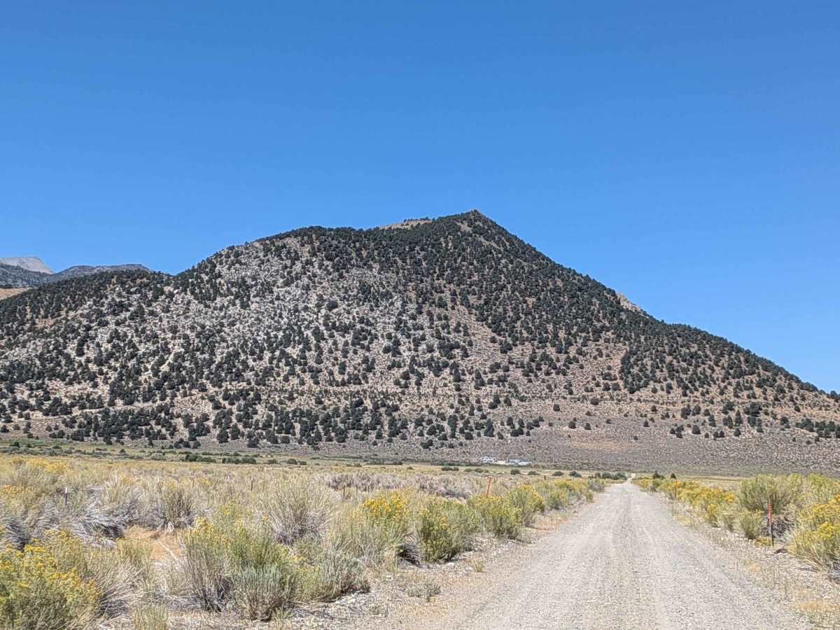 Old State Highway - FS1S29D photo 2