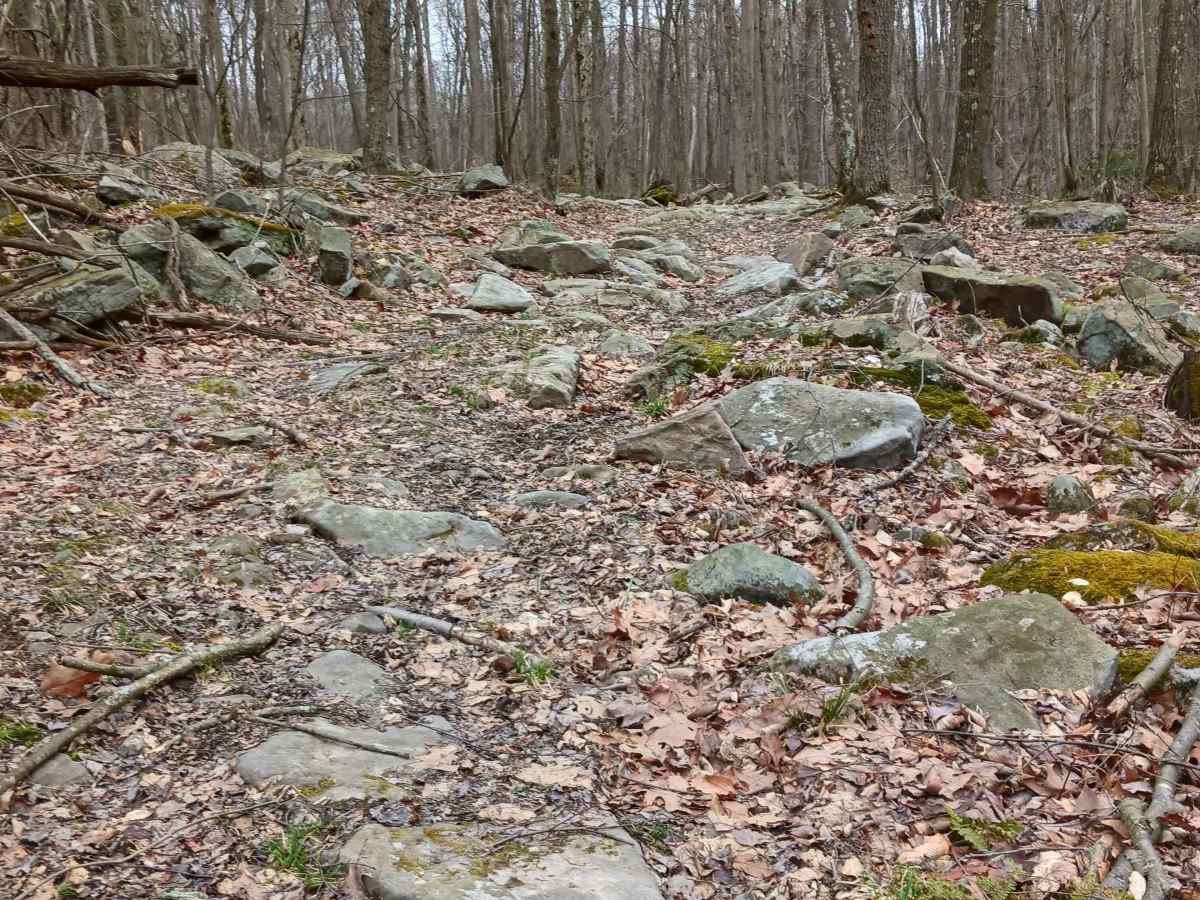 OHV 53 - Rock Run Recreation Area photo 5