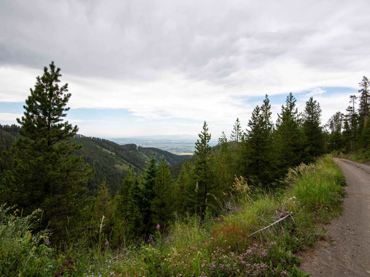 Moser Jumpoff Road photo 3