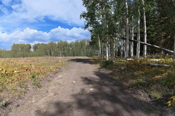Bear Pen Road