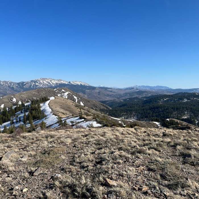 Near West Fork Gibson Jack #015