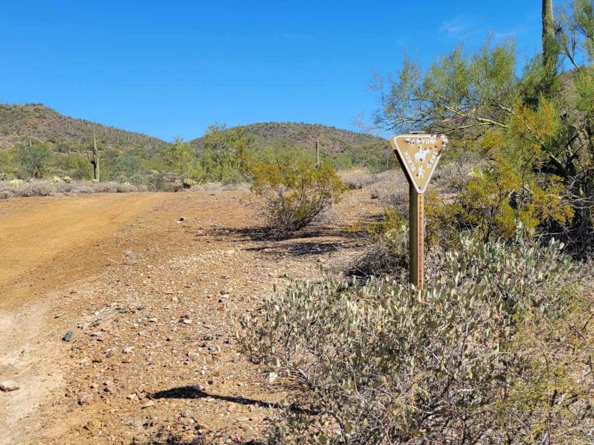 9949 to Black Canyon Trail photo 3