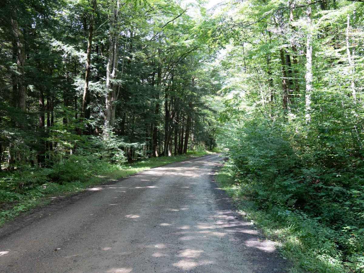 Lime Stone Run Road trail photo
