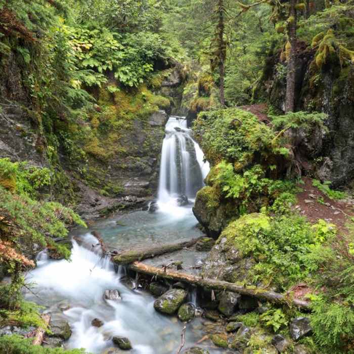 Near Virgin Creek Falls