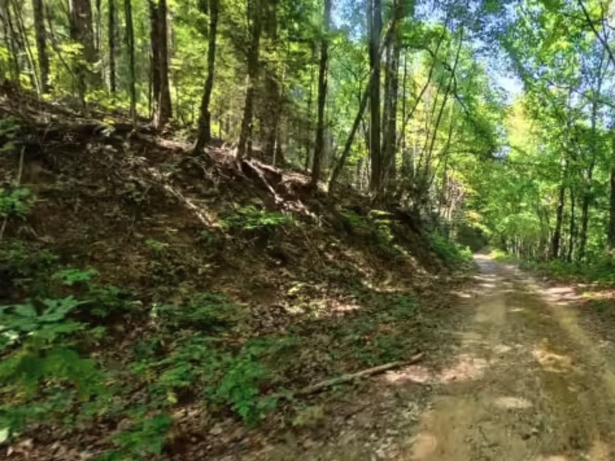 Chester Knob Upper Trail photo 6
