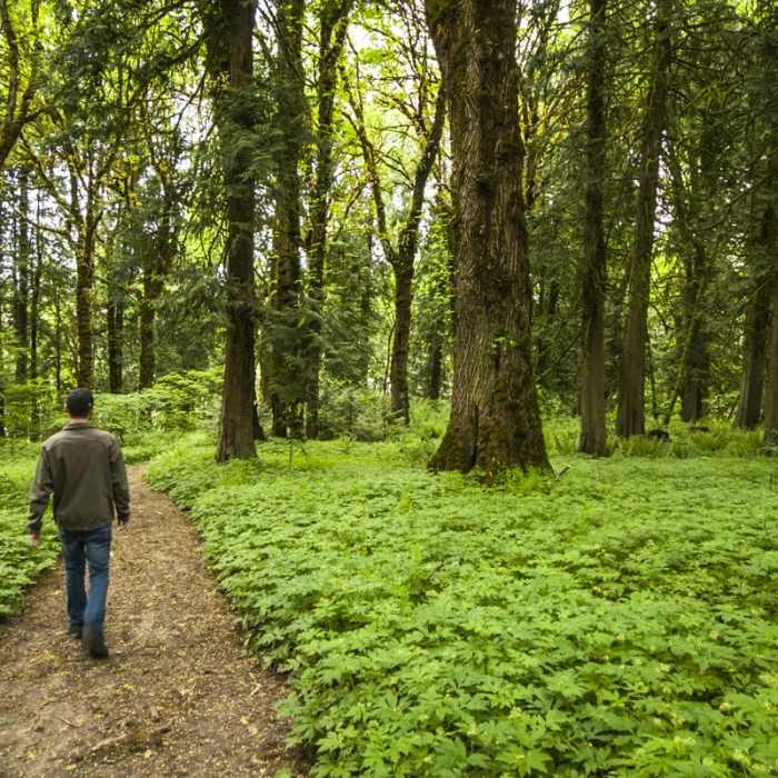 Near Paradise Point Hiking Trail System