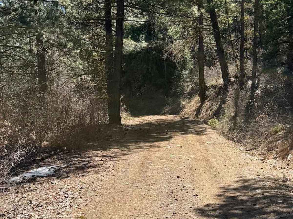 Dawson Canyon Road photo 6