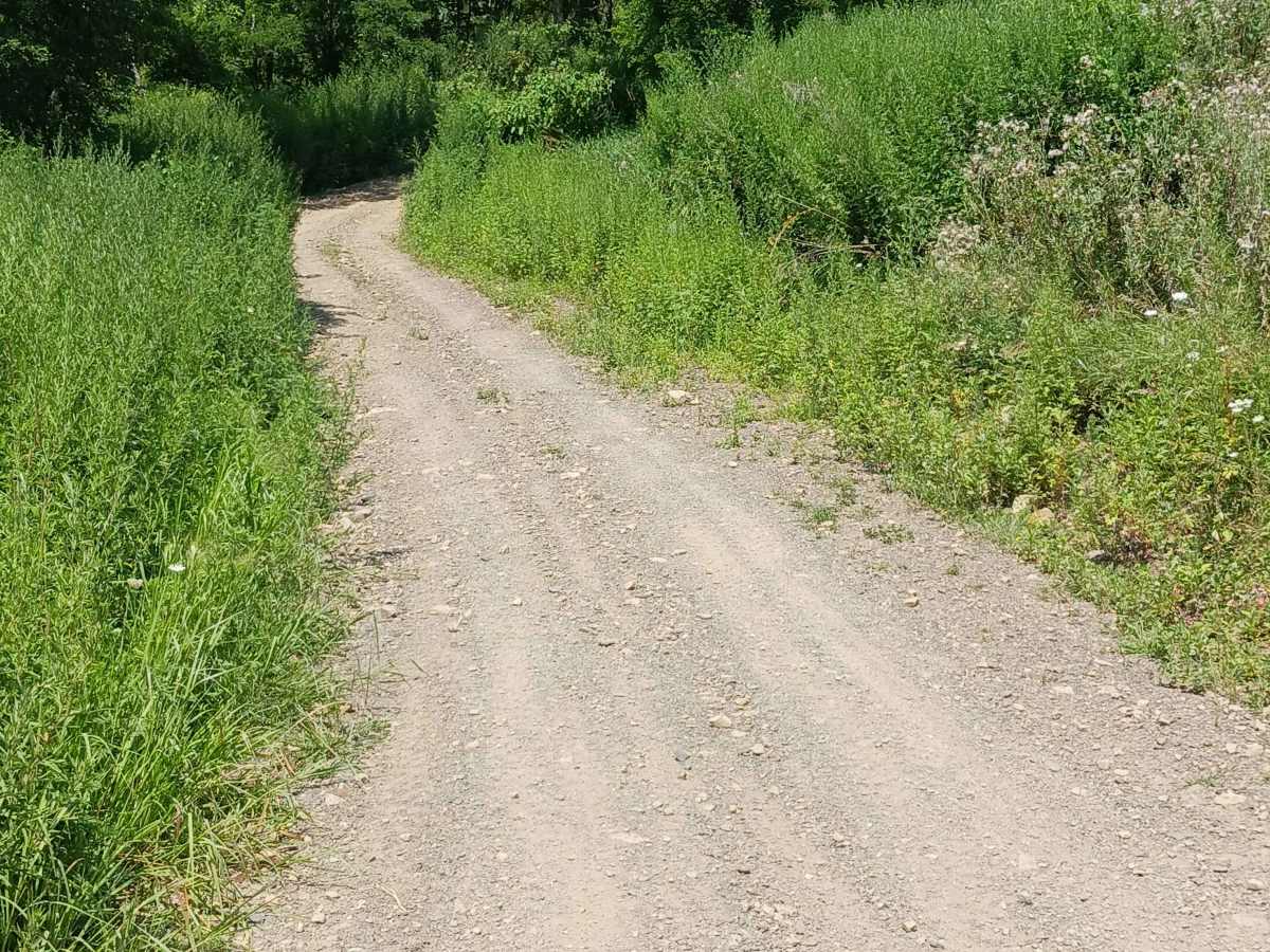 Opossum Run - Rock Run Recreation Area photo 3