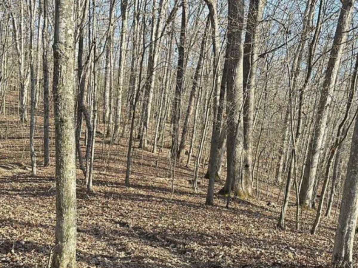 Rich Creek Connection photo 5
