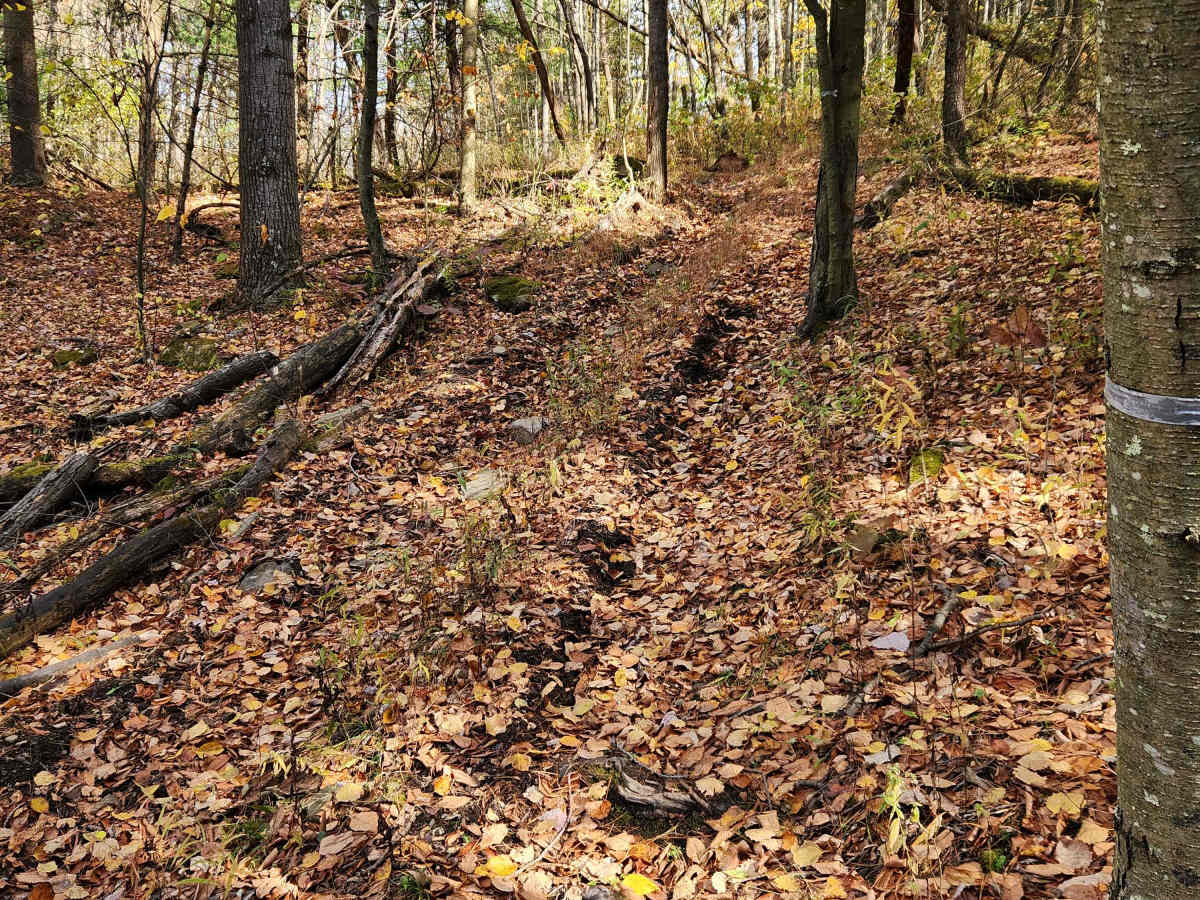 OHV 15 - Rock Run Recreation Area trail photo