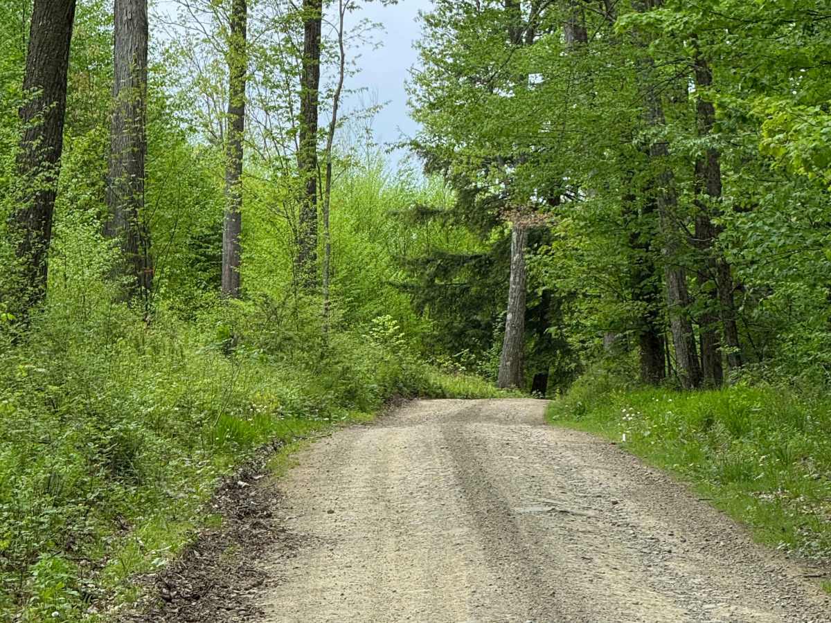 Shepard Road photo 4