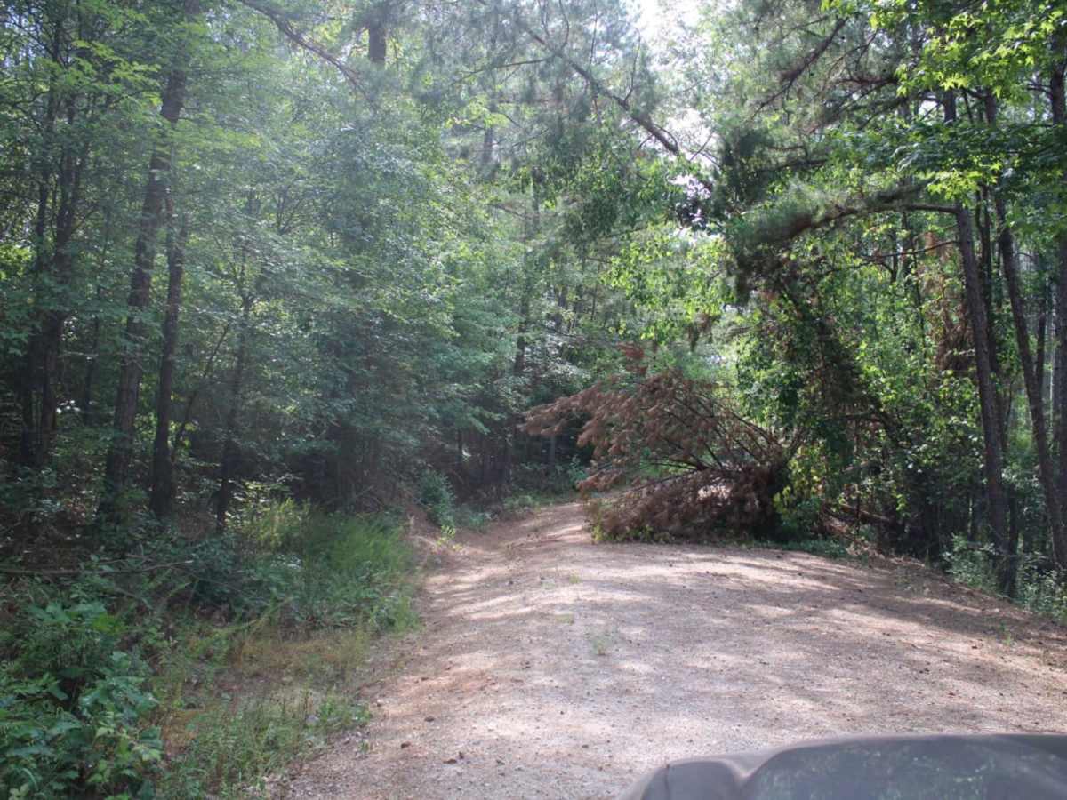 North Fork to Gladstone photo 3