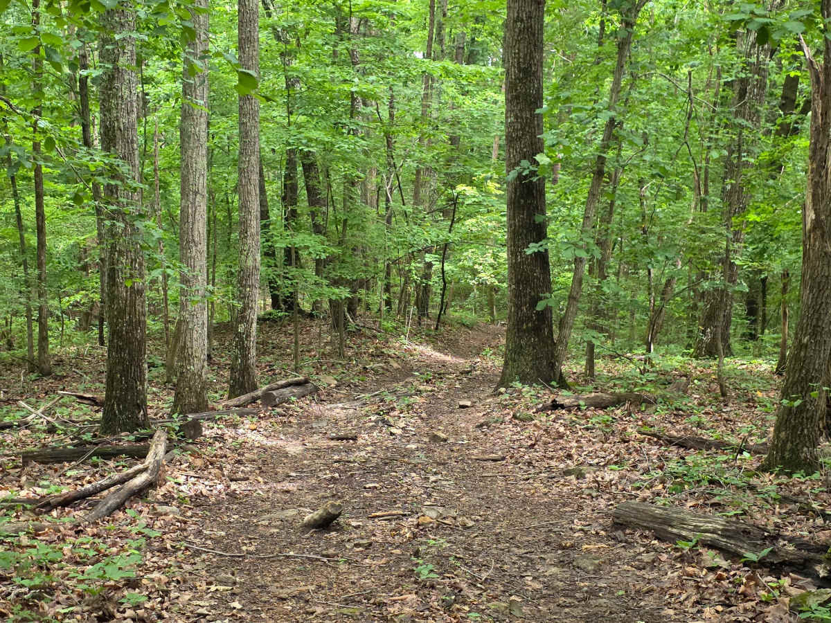Brocato's Boulders photo 5