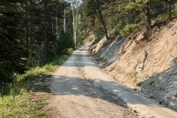 Sunnyside Road