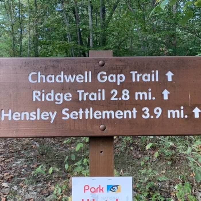 Near Chadwell Gap Trail