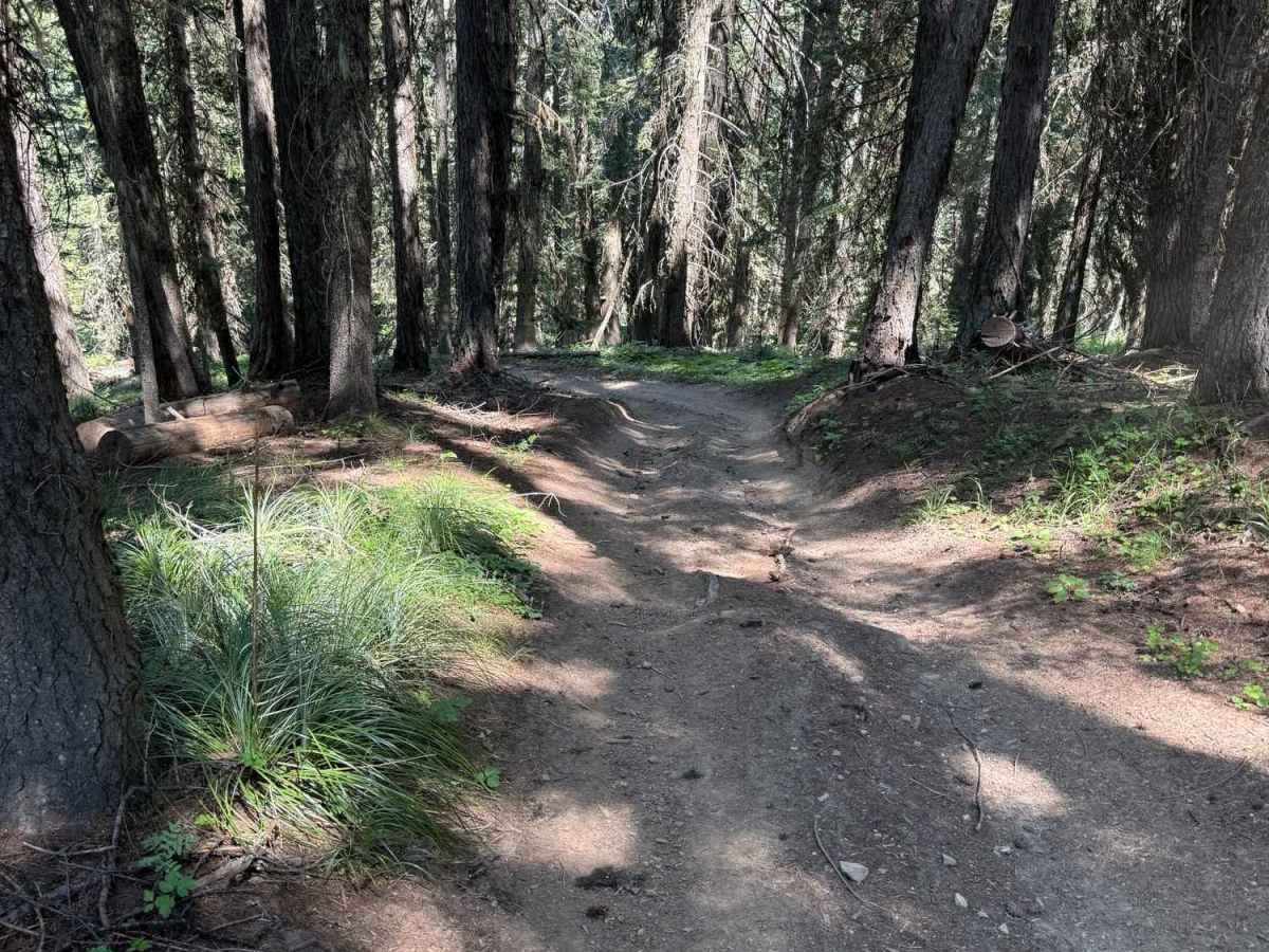 Anderson Butte Lookout photo 3
