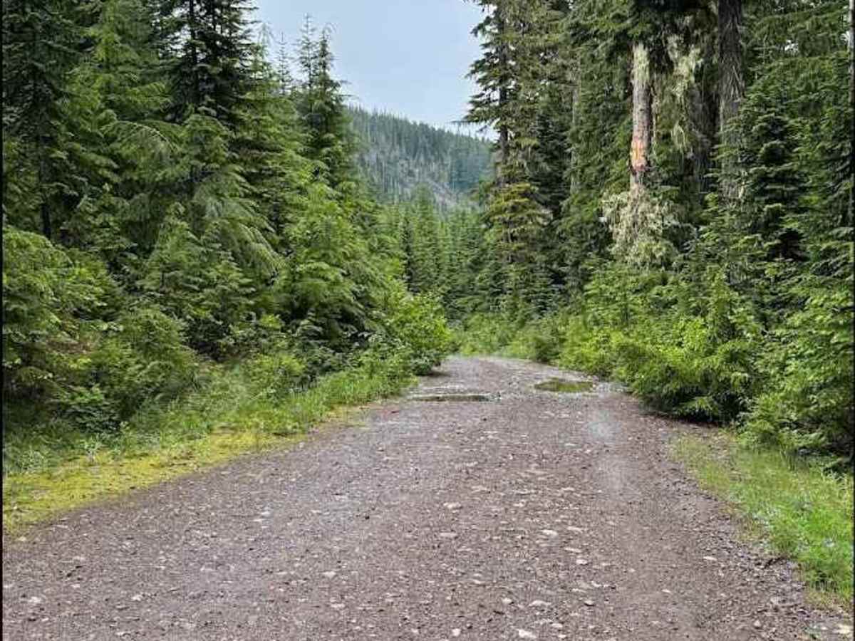 Stirrup Lake - FS 5483118 photo 4
