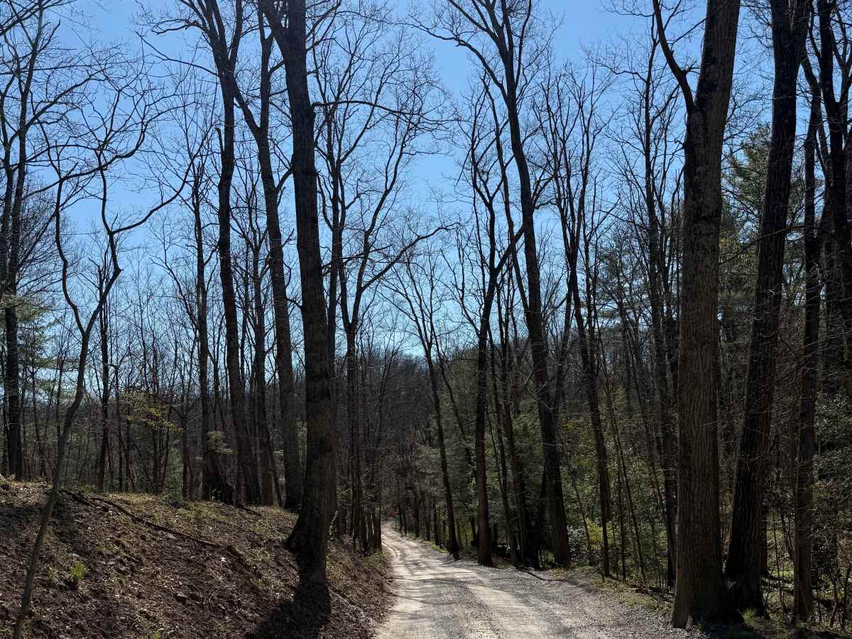 Tankhannen Road photo 5