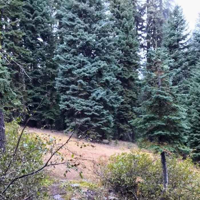 Near Bull Gap to Wrangle Gap