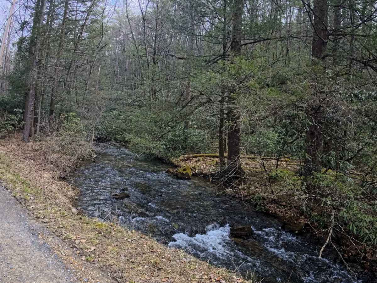 White Deer Road trail photo