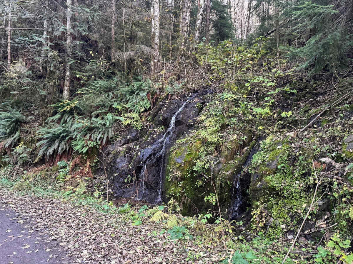 Powder Horn Spur Road trail photo