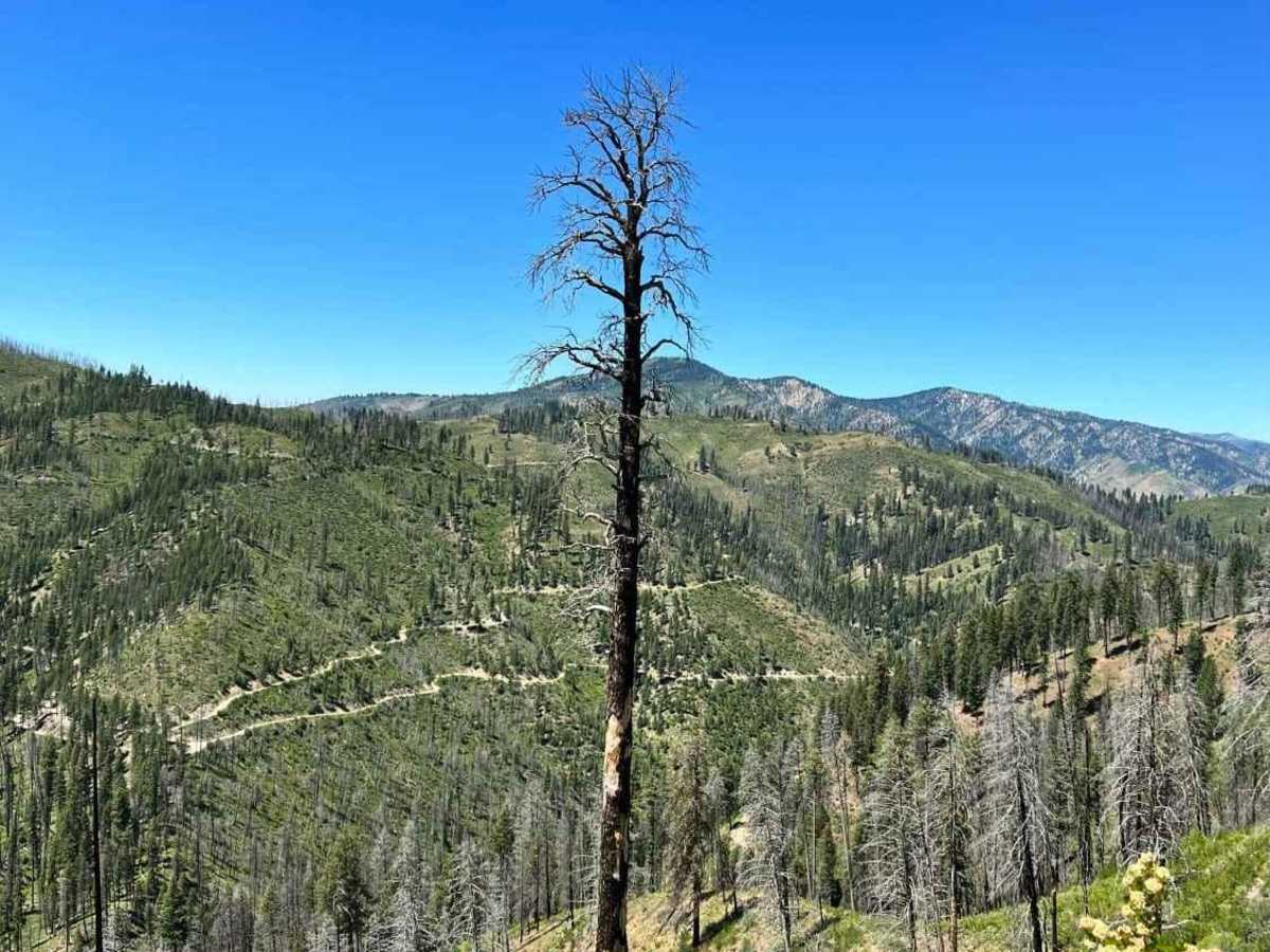 Rock Creek trail photo