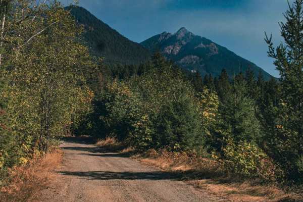 Cougar Spur
