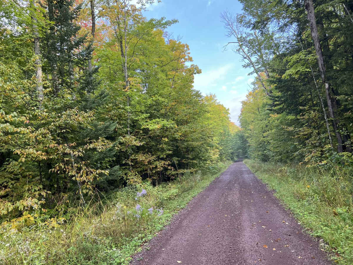 Trail P - FDR 655 photo 4